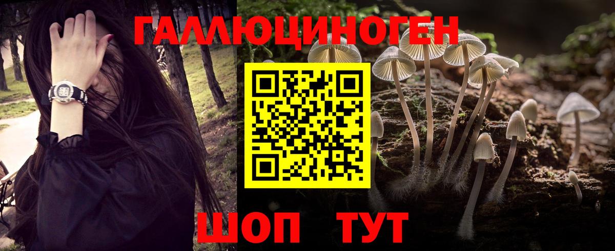 Соль-Илецк  Псилоцибиновые грибы Cubensis  Вход с VPN 