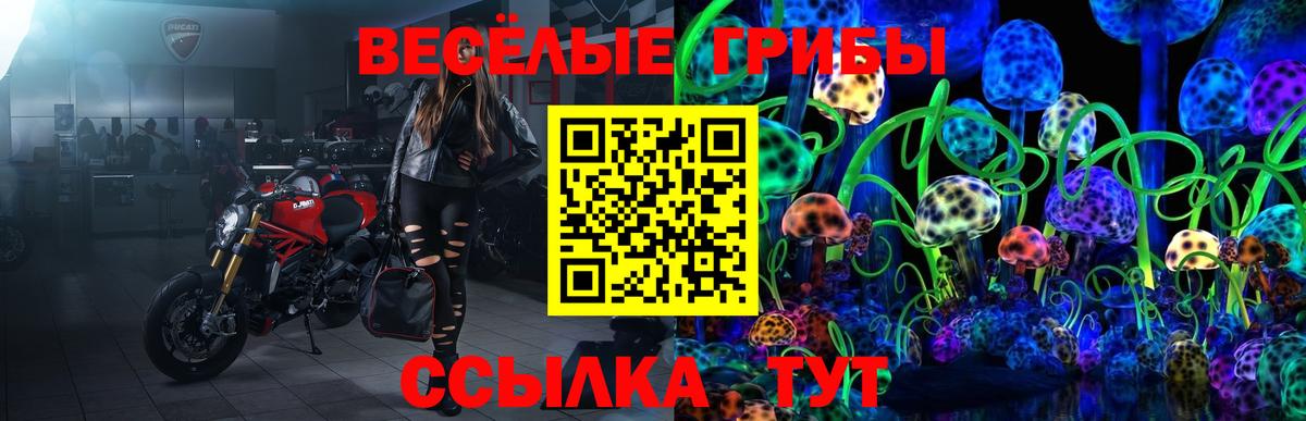 Псилоцибиновые грибы Magic Shrooms Соль-Илецк